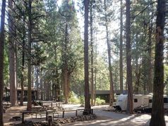 Golden Pines RV Resort and Campground