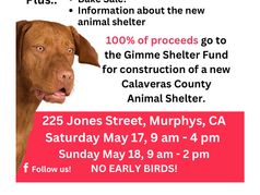 Whopper Yard Sale for a Great Cause!