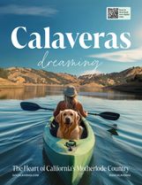 Visitors Guide